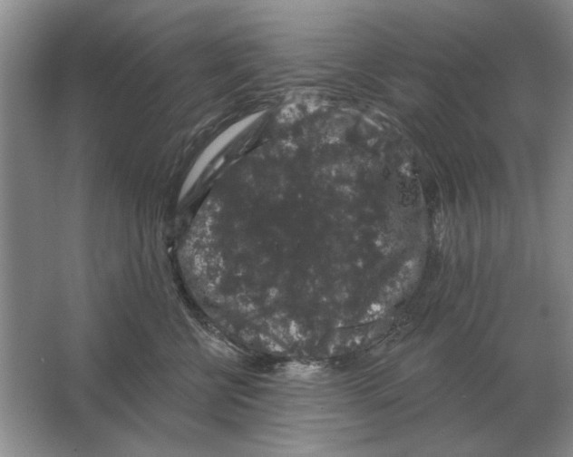 X0000063480570200602101809