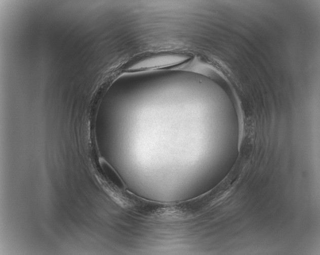 X0000063480589200602101808