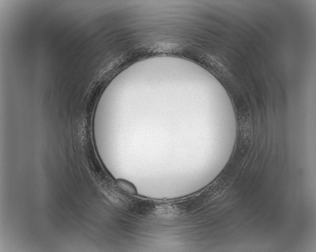 X0000063480591200602101808