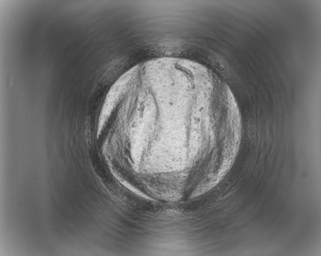 X0000063480594200602101808