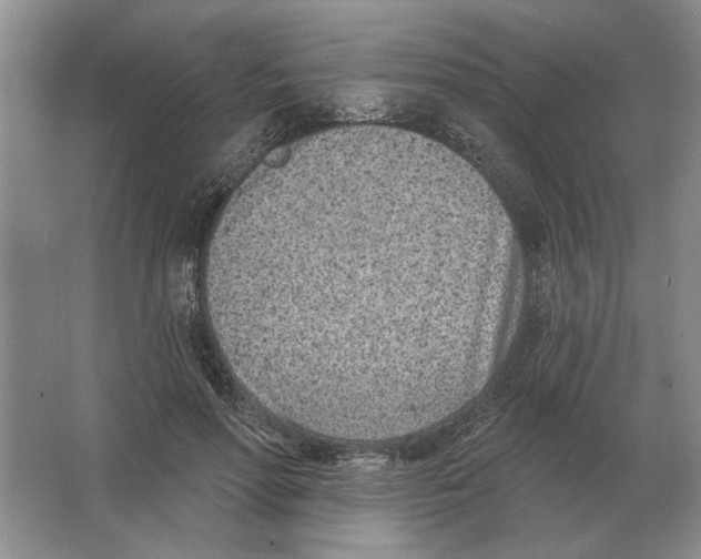 X0000063480598200602101808