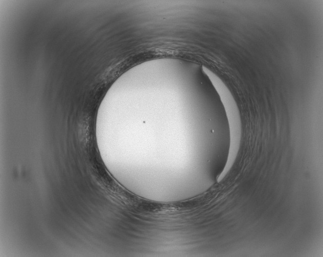 X0000063480600200602101808