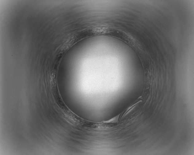 X0000063480601200602101808