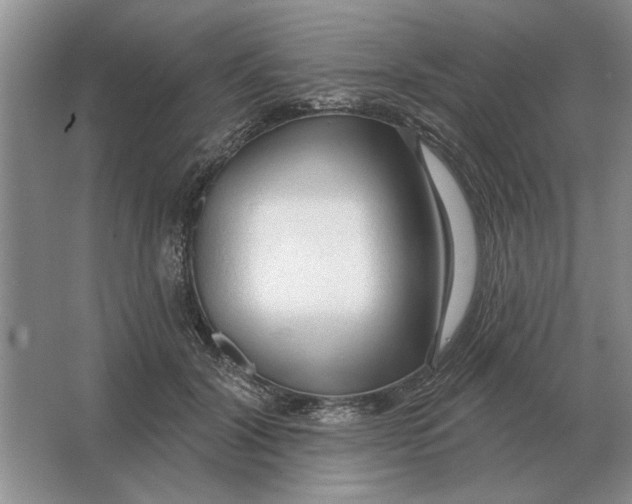 X0000063480604200602101808