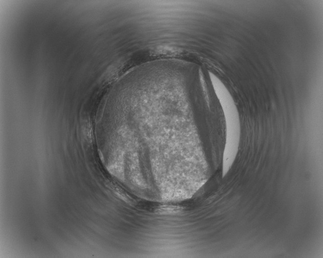 X0000063480617200602101808