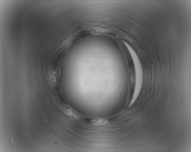 X0000063480621200602101808