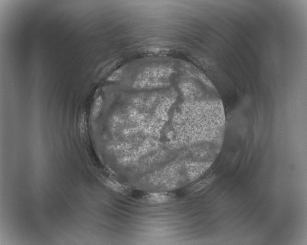 X0000063480623200602101808