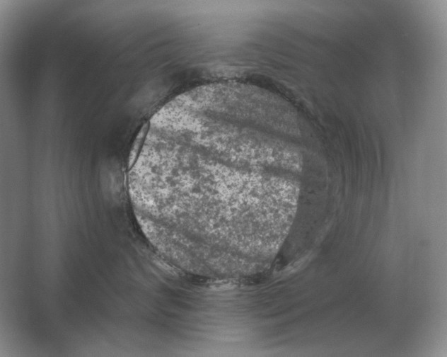 X0000063480624200602101808