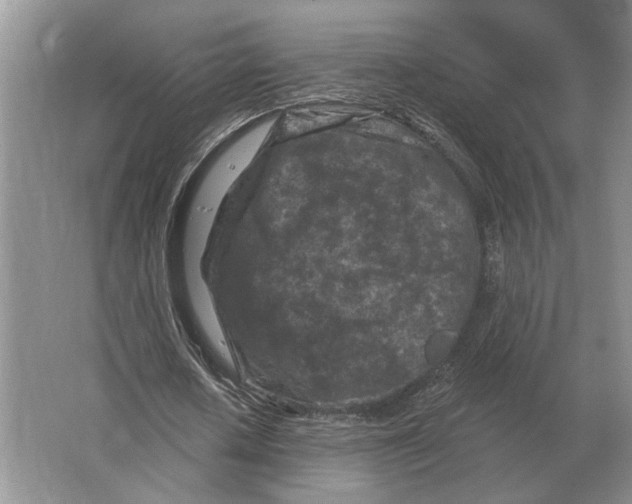 X0000063480626200602101807