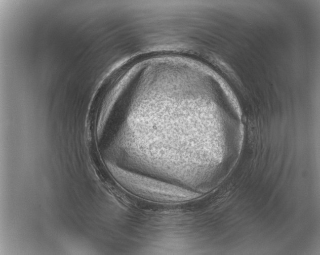 X0000063480628200602101807