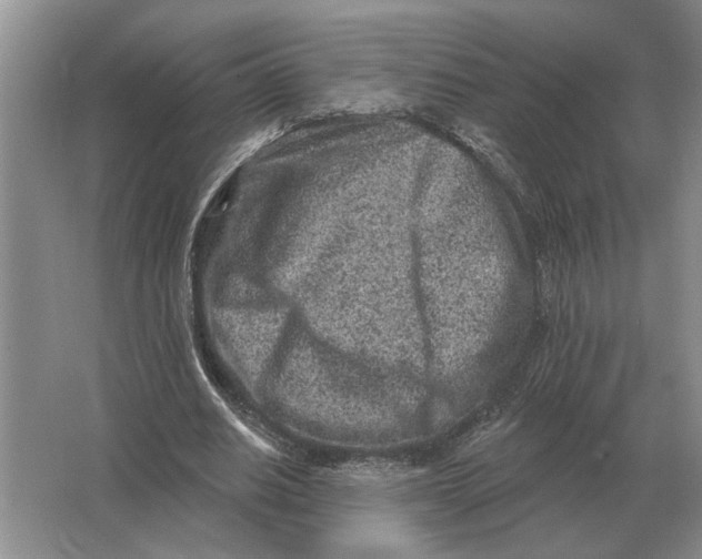 X0000063480630200602101807