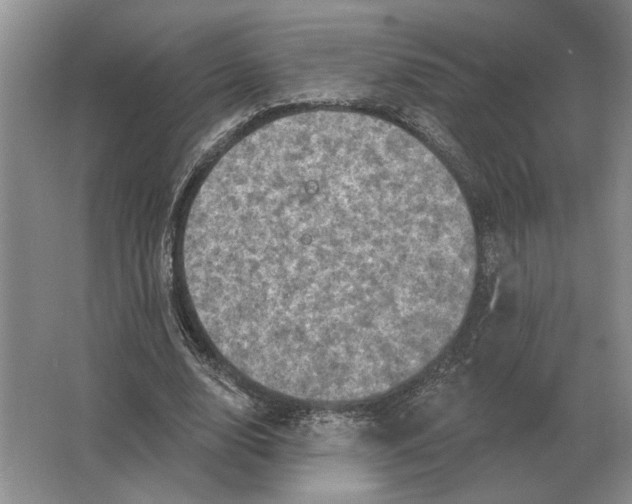 X0000063480632200602101807
