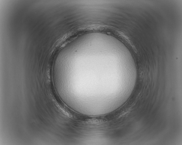 X0000063480633200602101807