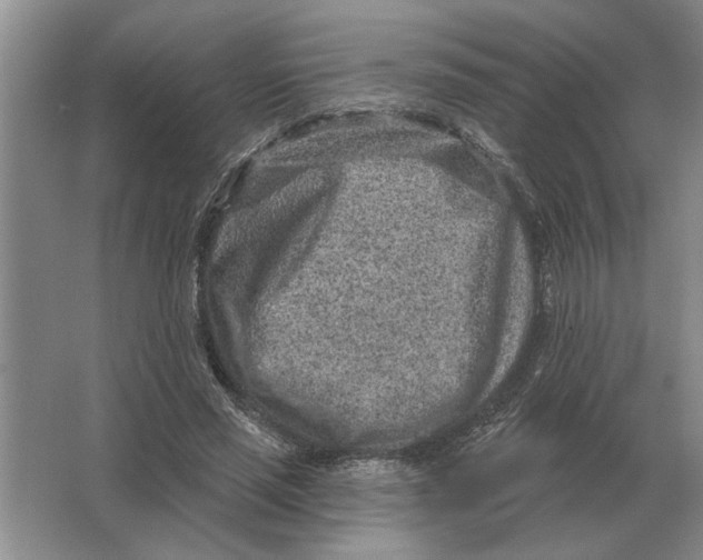 X0000063480637200602101807