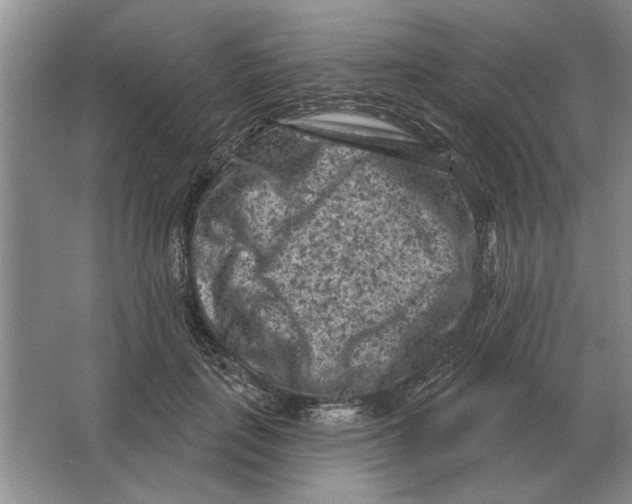 X0000063480651200602101807