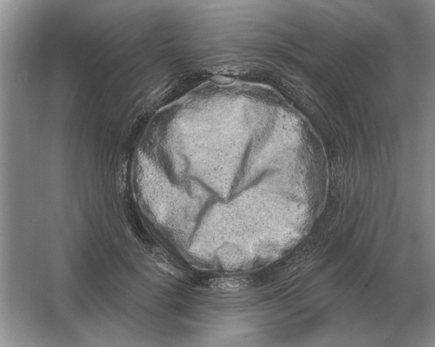 X0000063480652200602101807