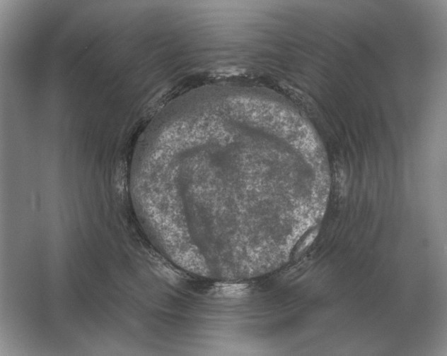 X0000063480665200602101808