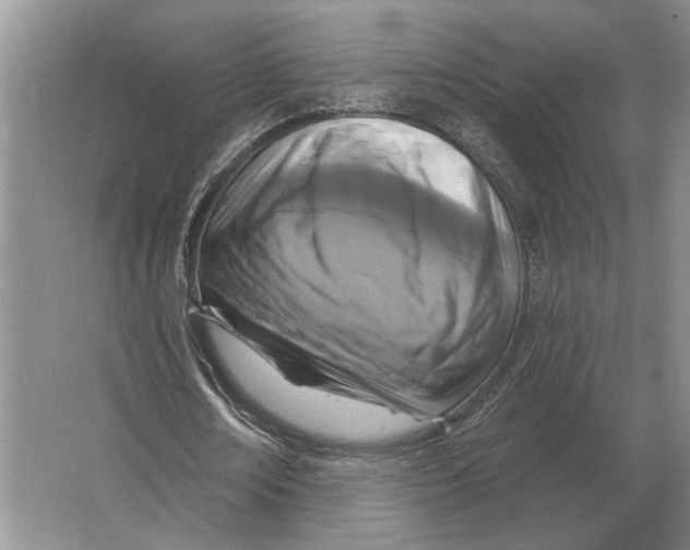 X0000063480674200602101807