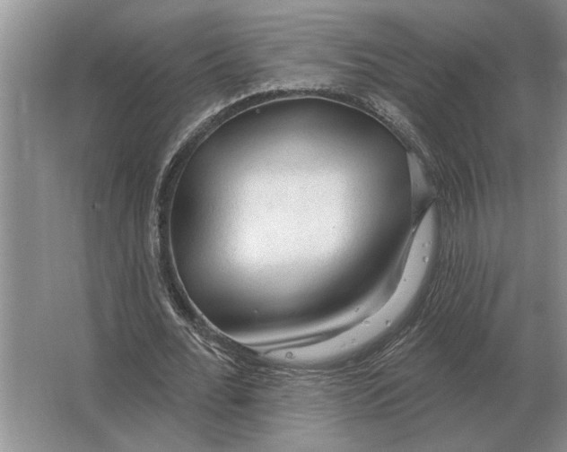 X0000063480676200602101807