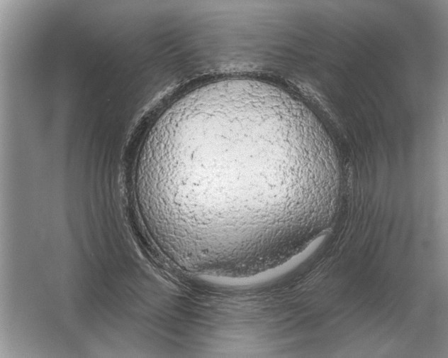 X0000063480684200602101807