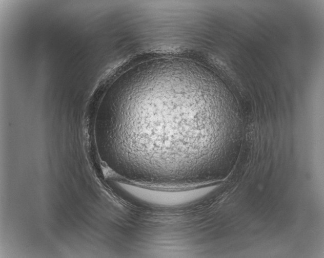 X0000063480688200602101807