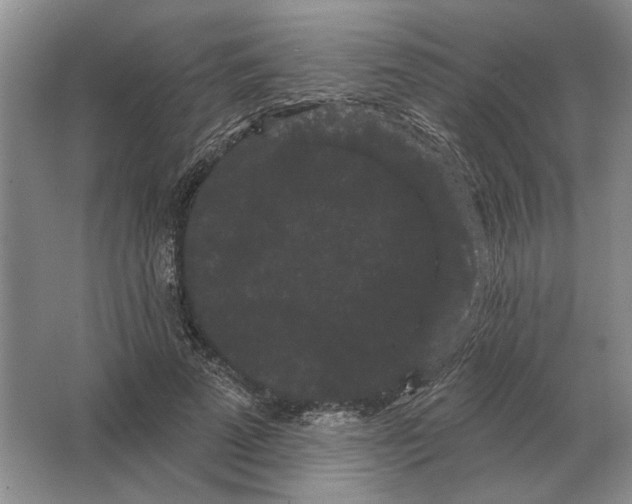 X0000063480689200602101807