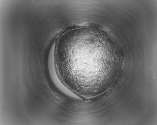 X0000063480692200602101807