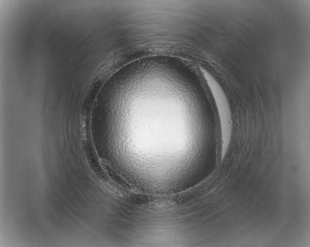 X0000063480696200602101807