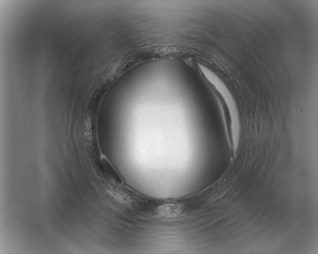 X0000063480700200602101807