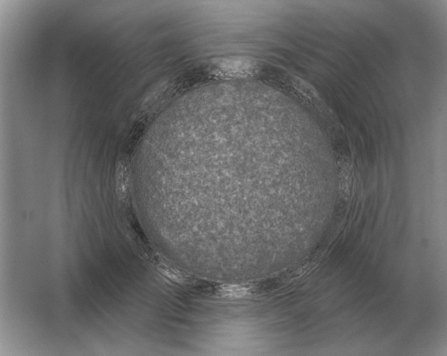 X0000063480701200602101807