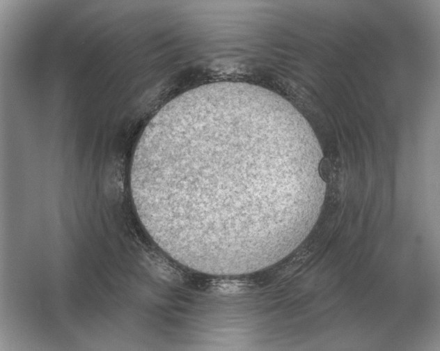 X0000063480710200602101806