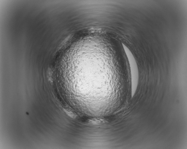 X0000063480712200602101806