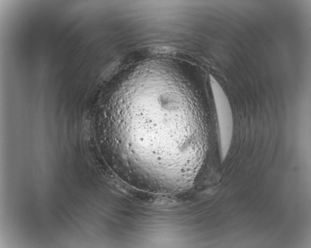 X0000063480716200602101806