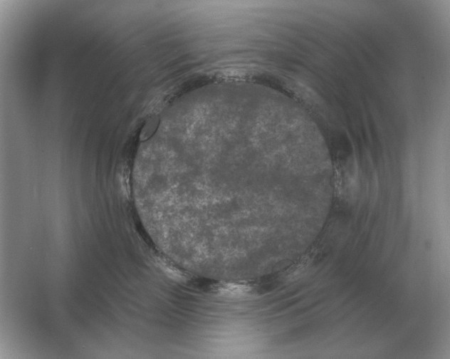 X0000063480718200602101806