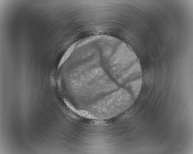 X0000063480719200602101806