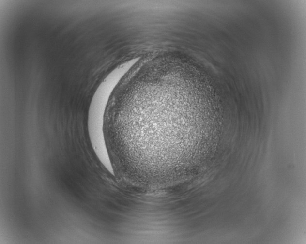 X0000063480720200602101806