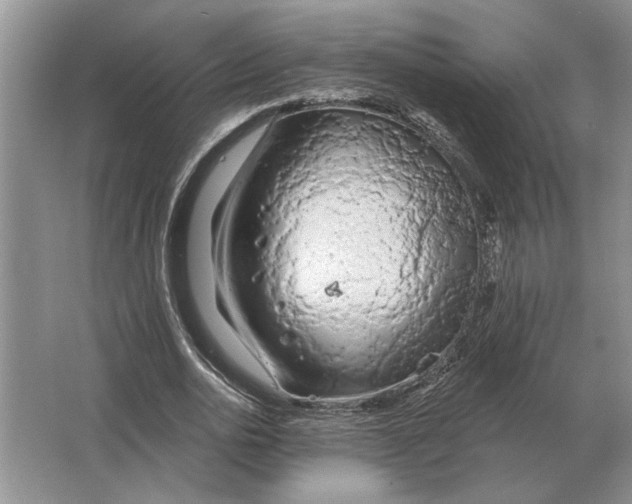 X0000063480726200602101806
