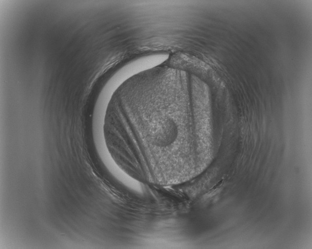 X0000063480735200602101806