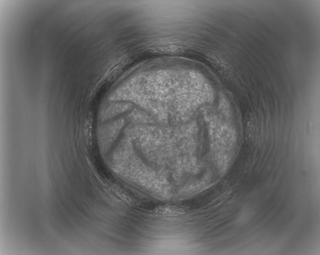 X0000063480739200602101806