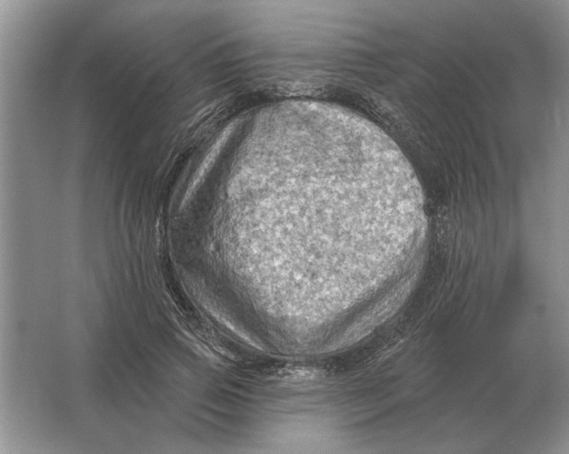 X0000063480741200602101806