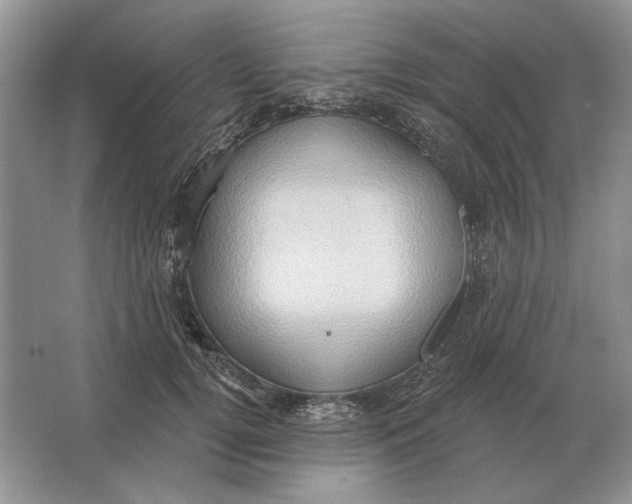 X0000063480752200602101806