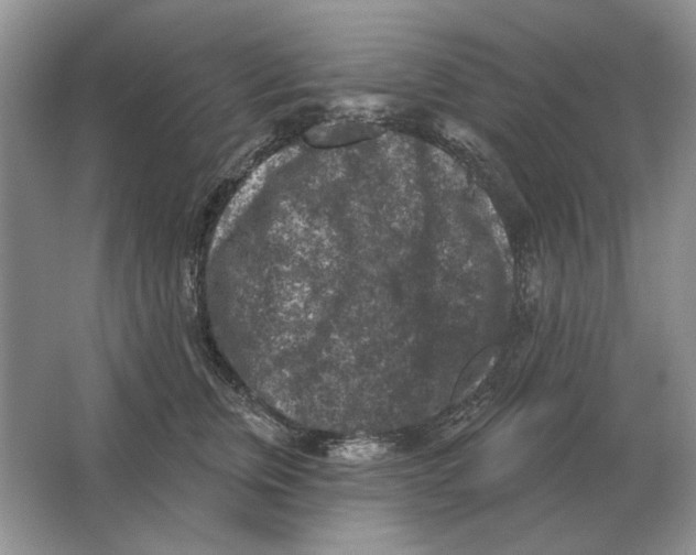 X0000063480759200602101806
