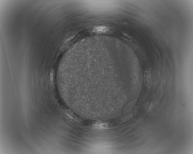 X0000063480760200602101806