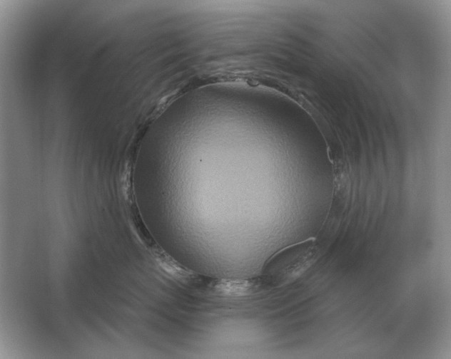 X0000063480767200602101806