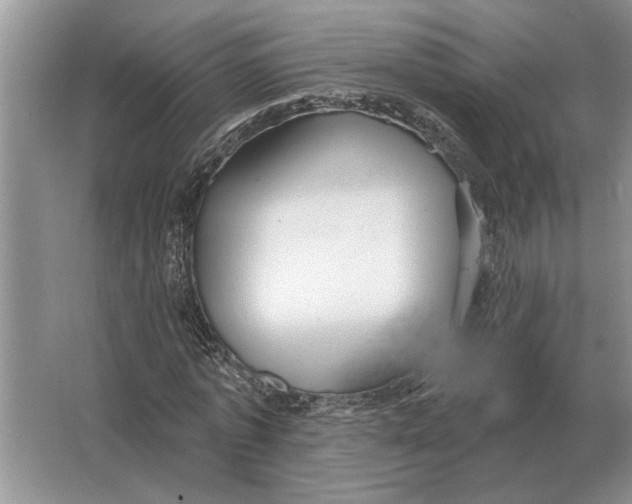 X0000063480773200602101805