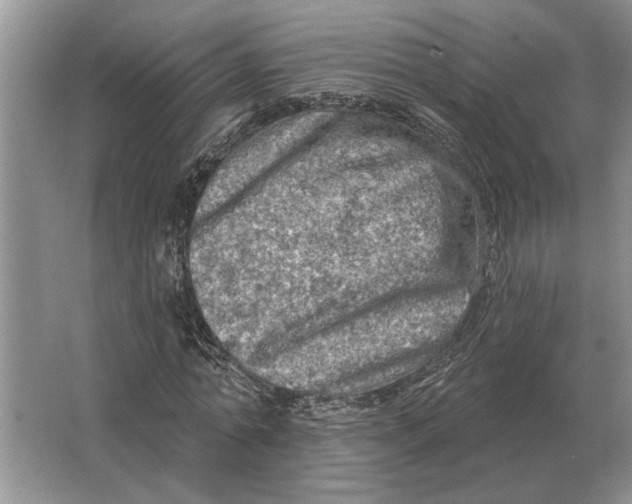 X0000063480774200602101805
