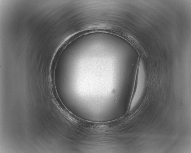 X0000063480784200602101805