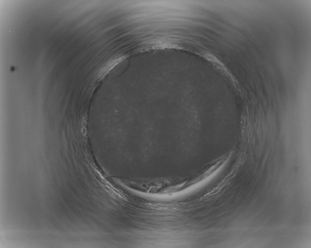 X0000063480785200602101805