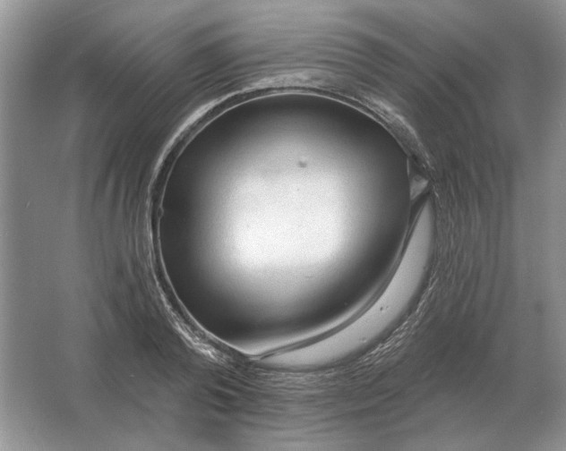 X0000063480792200602101805