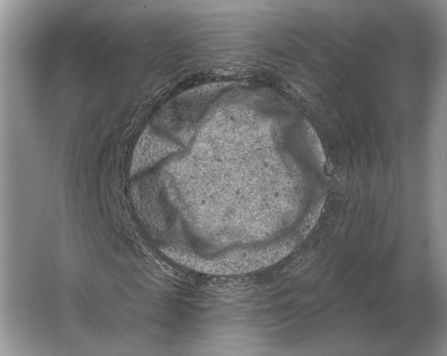X0000063480817200602101804